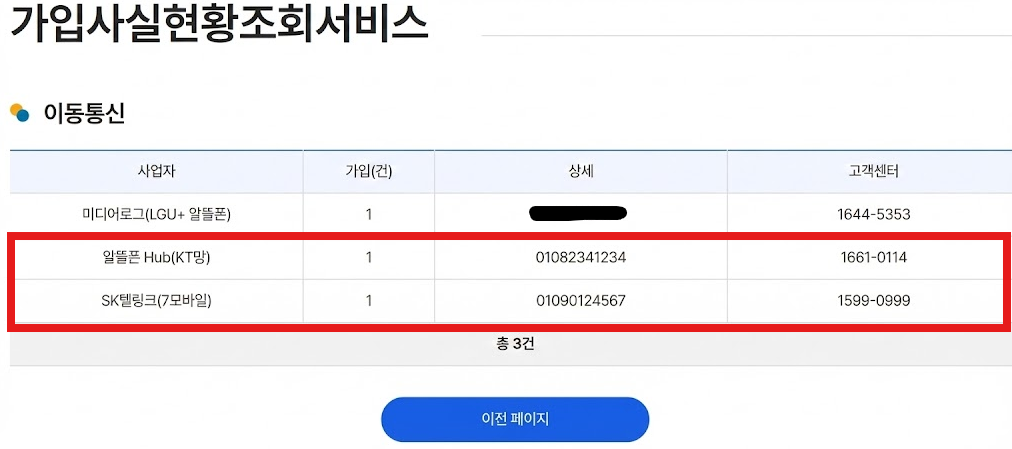 가입 내역 조회 결과 예시