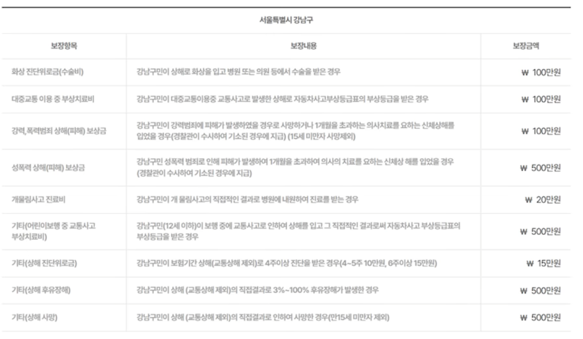 보장 항목 리스트 화면